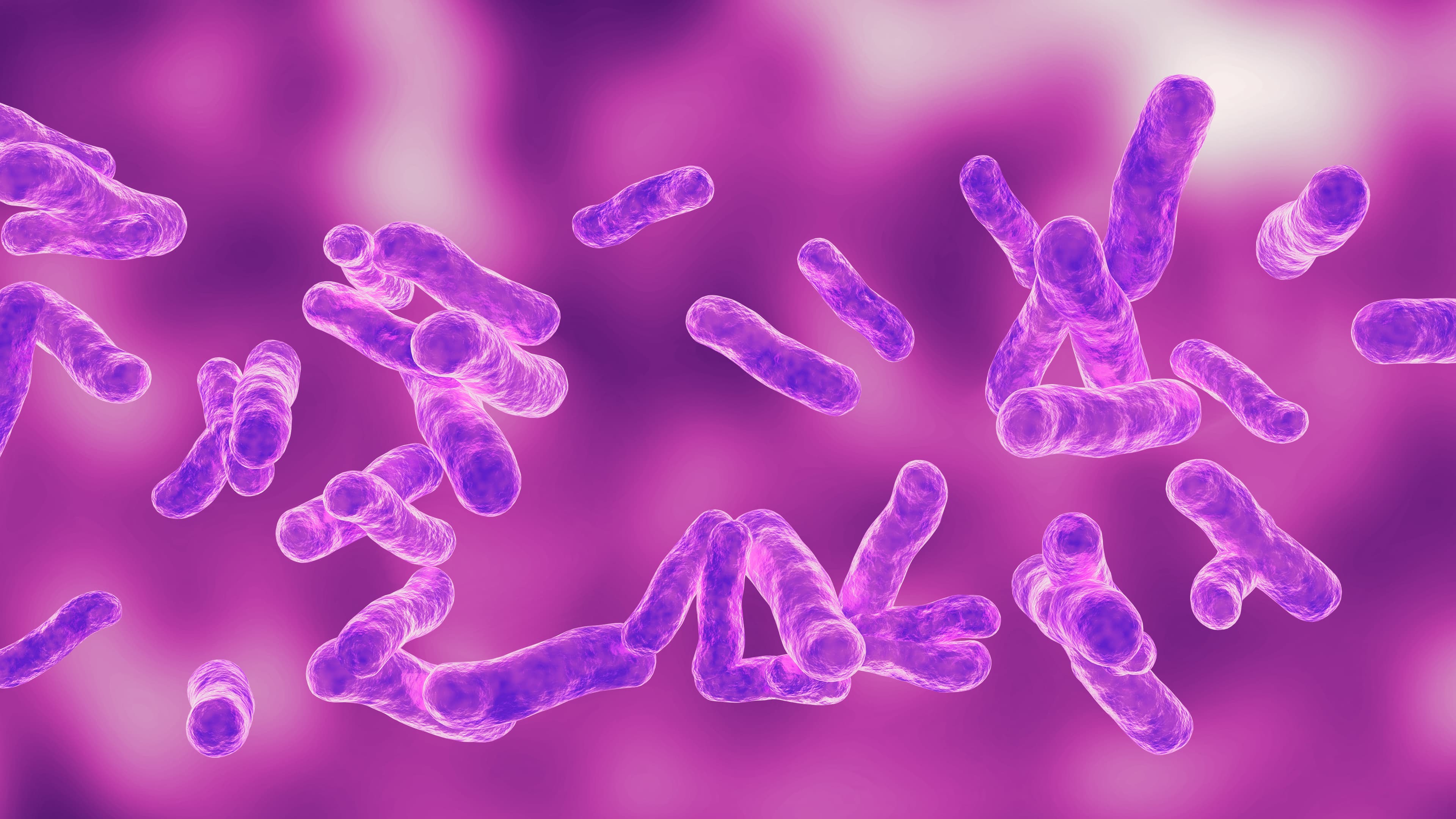 Water sample testing