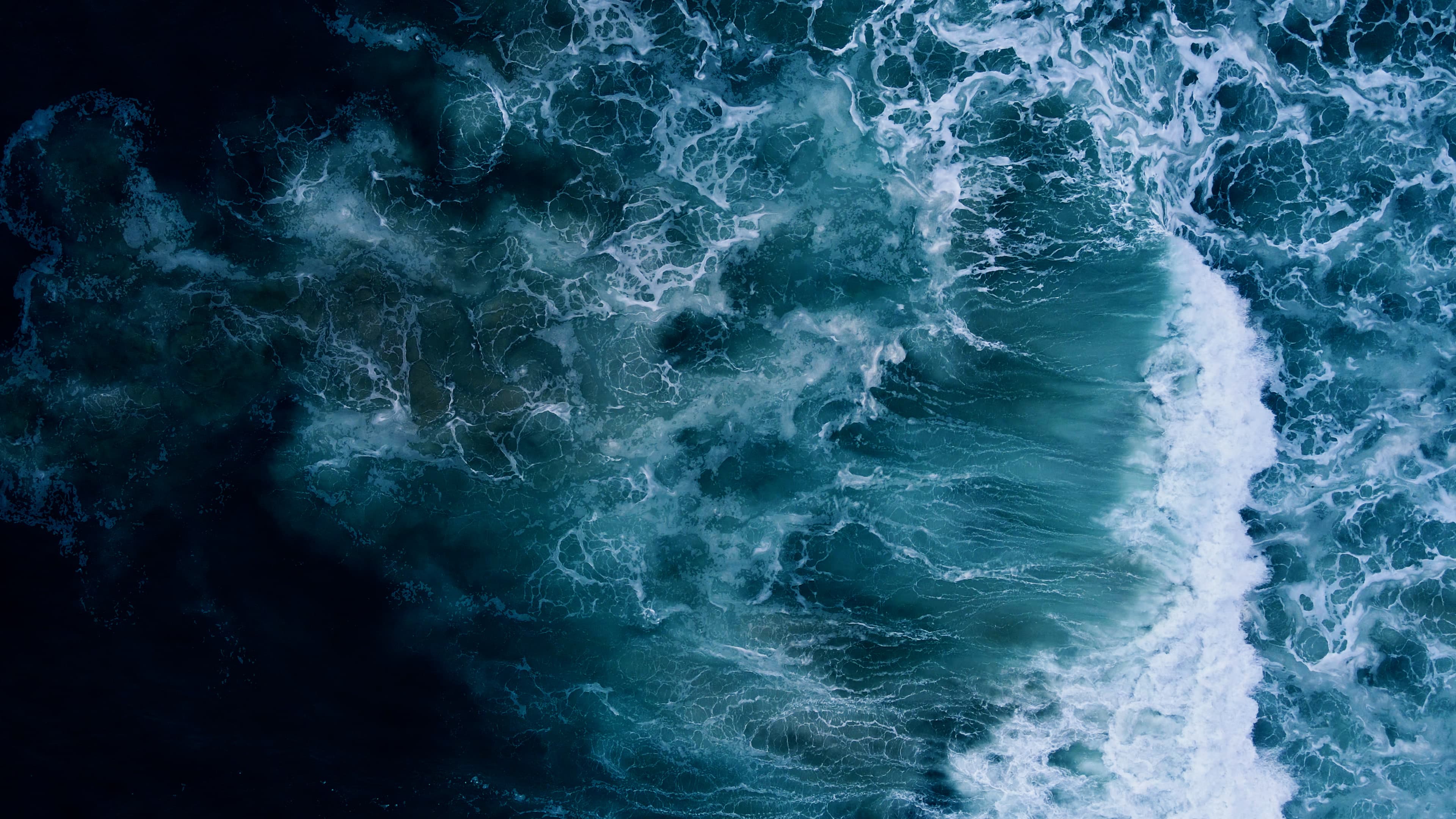 Water microbiology testing