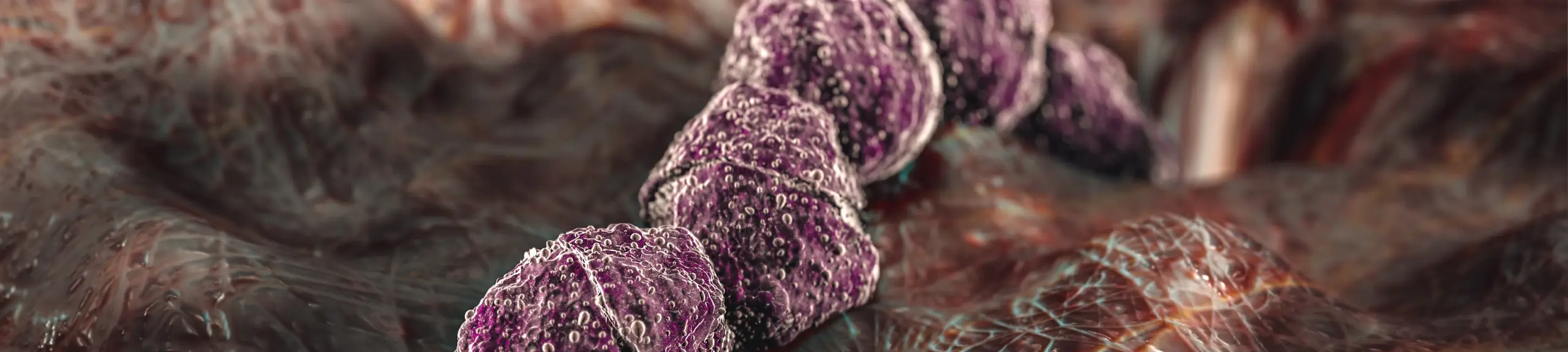 Faecal streptococci testing Faecal streptococci testing