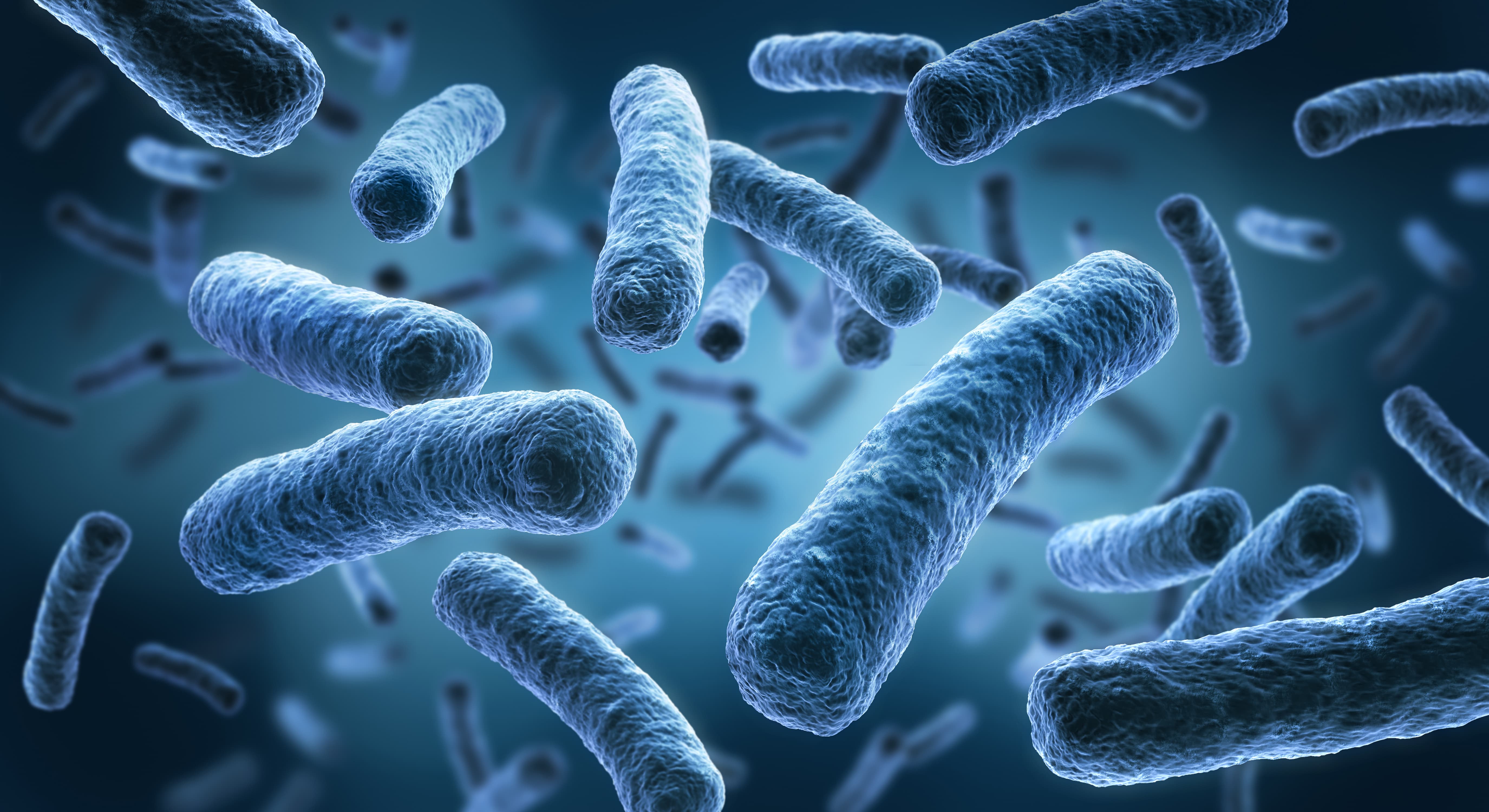 Legionella Testing