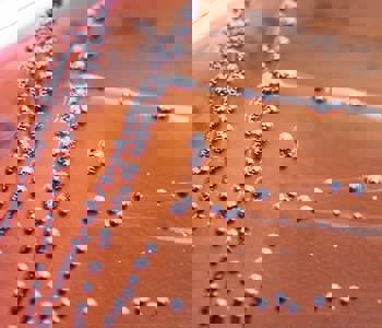 Water Testing | CTS Water Microbiology